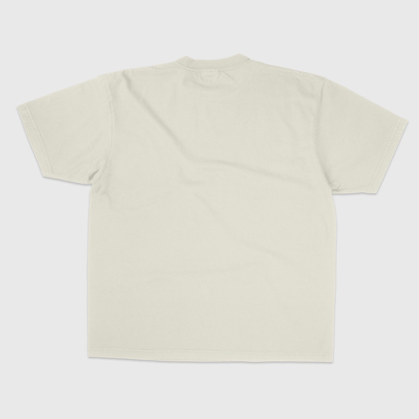 SWIMMING POOLS GRAPHIC TEE - 808's